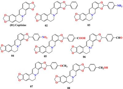 Modified coptisine derivatives as an inhibitor against pathogenic Rhizomucor miehei, Mycolicibacterium smegmatis (Black Fungus), Monkeypox, and Marburg virus by molecular docking and molecular dynamics simulation-based drug design approach